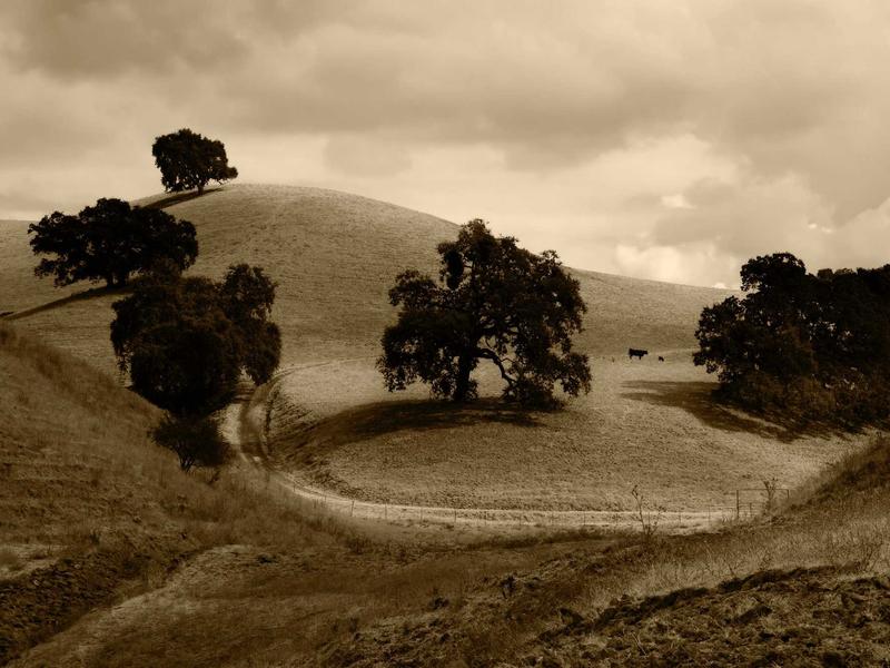 sudoku perfect score screenshot 5